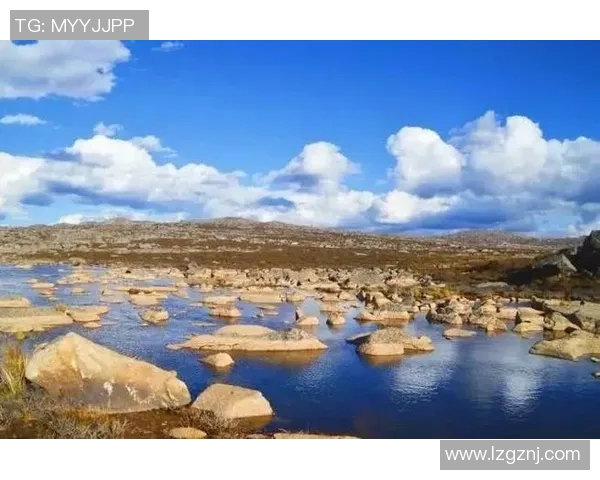 飞盘与梦想的交汇点吴静的运动人生与深度对话